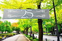 Banier 25 Jubileum 180x40cm