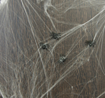 Spinnenweb 20gr wit met spinnen