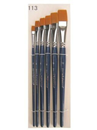 PXP penselenset in etui 6 stuks