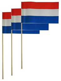 Papieren zwaaivlaggetjes RWB