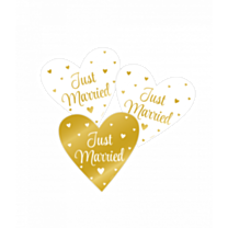 Decoration sign special - Just married