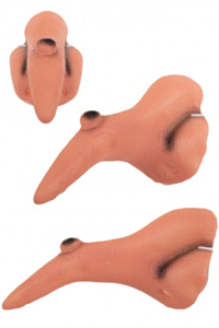 Heksenneus rubber